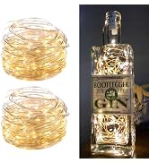 2Pack Fairy Lights Plug in, 33Ft 100 LEDs Waterproof Silver Wire Firefly Lights, Adaptor Included...