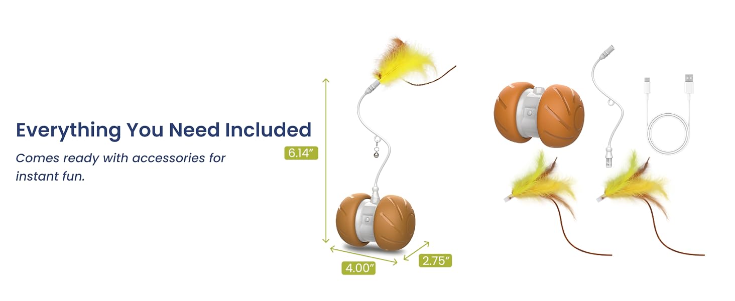 Cat toy with accessories