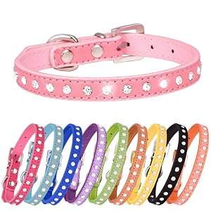 cat collar