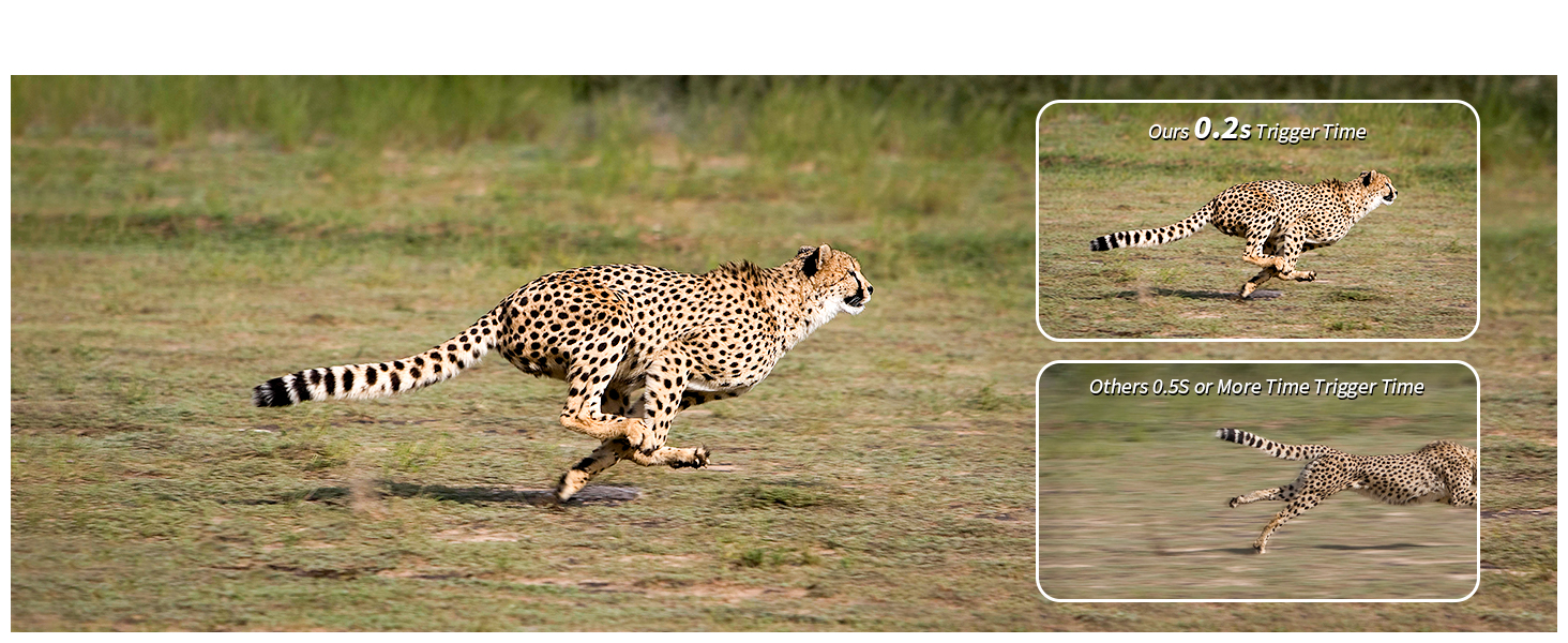 game camera