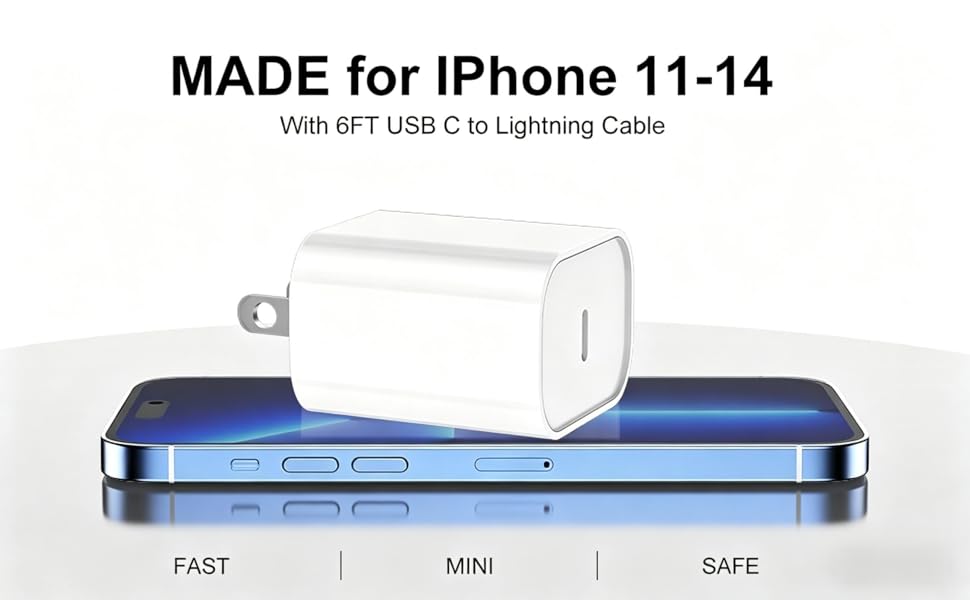 6FT USB C to Lightning Cable