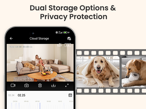 the best dog storage options for your home