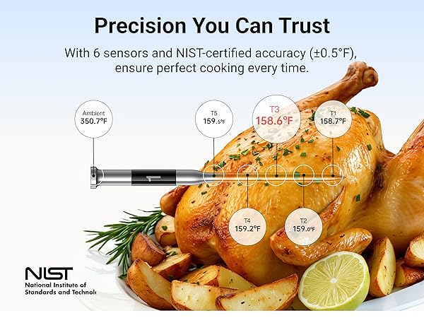 meat thermometer meat probe wireless thermometer wireless meat probe bluetooth thermometer meater