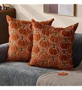 DFXSZ Fall Pillow Covers 18x18 Set of 2 Fall Decorations Autumn Rust Pumpkin Throw Pillow Cases S...