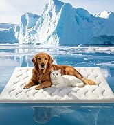 Dog Cooling Mat