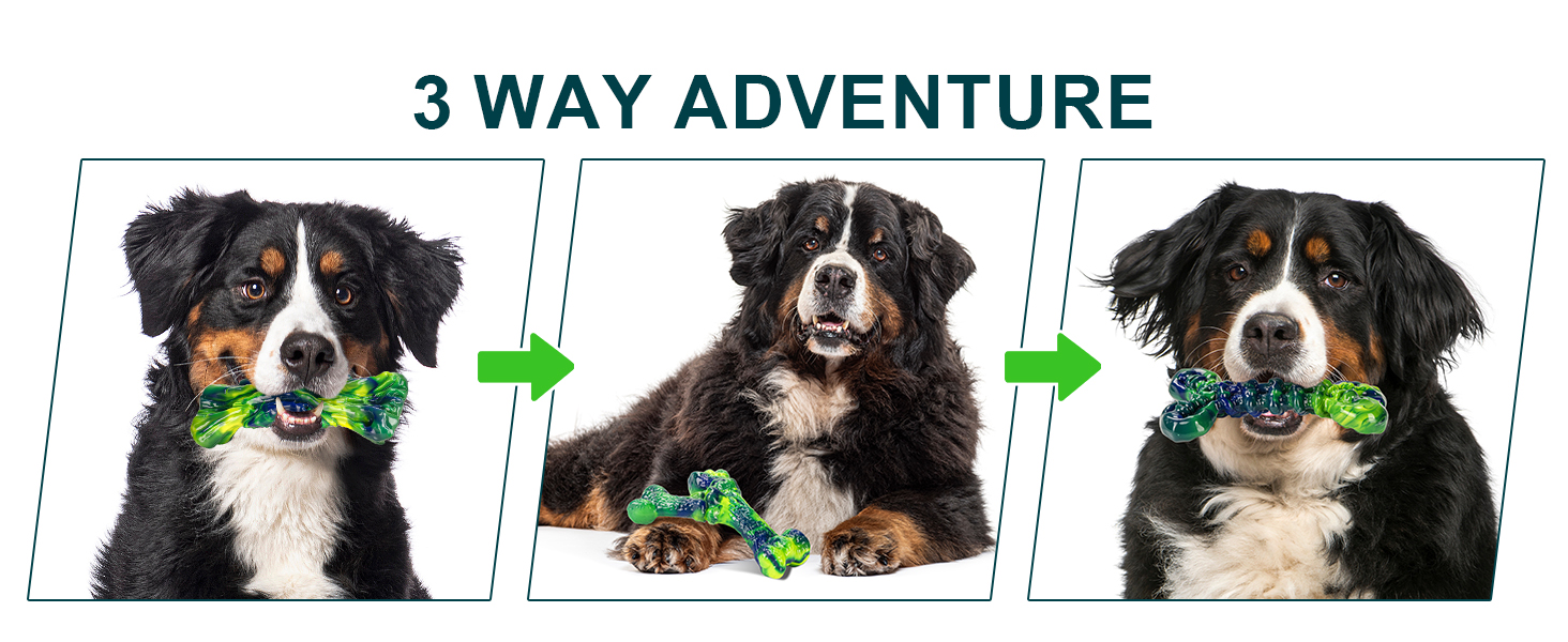 dog chew toy: 3 Way Adventure