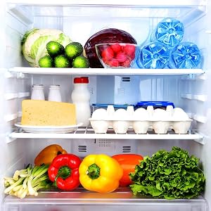 inside of a fully stocked fridge