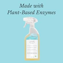 plant based enzymes