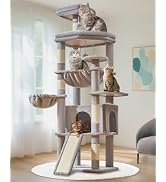 Taoqimiao 72 Inches Cat Tree for Large Cats, Multi-Level Tall Cat Tower, Widened Cat Condo with L...