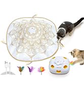 best cat toy