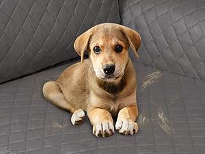 couch cover