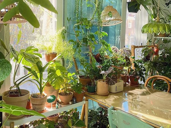 GREENHOUSE