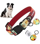 Anti-Lost Dog Collar with Smart QR ID Tag – Instant Scan to Contact Owner, No Battery No GPS Digi...