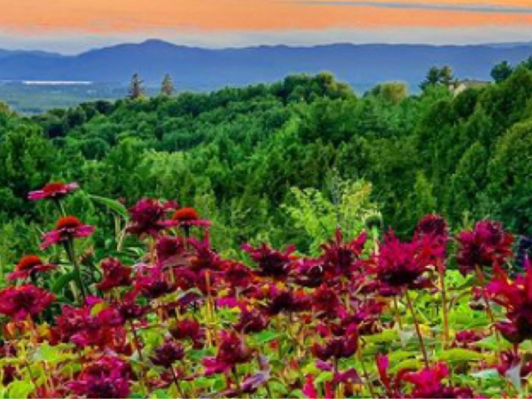 Made in beautiful Middlebury, VT, USA