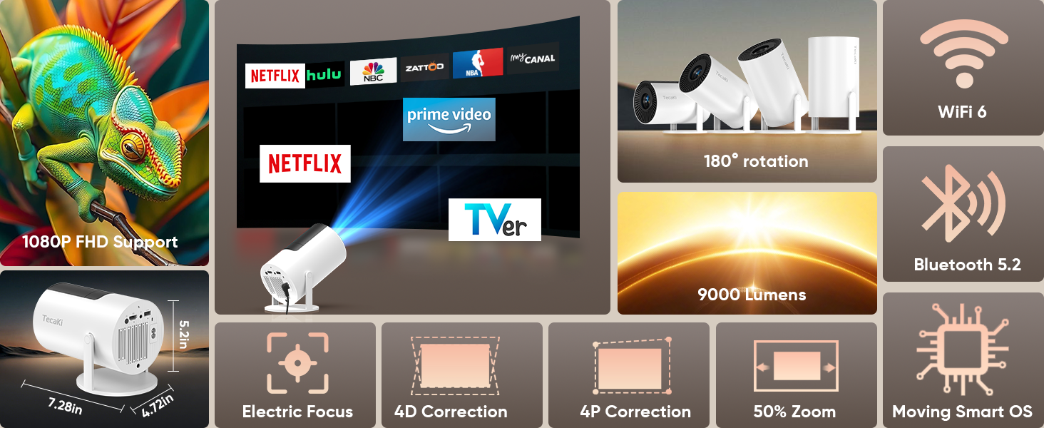 projector