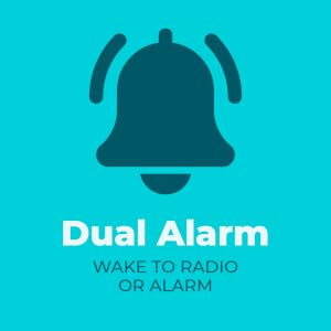 Dual Alarm