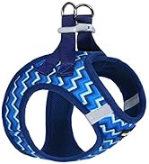 blue dog harness