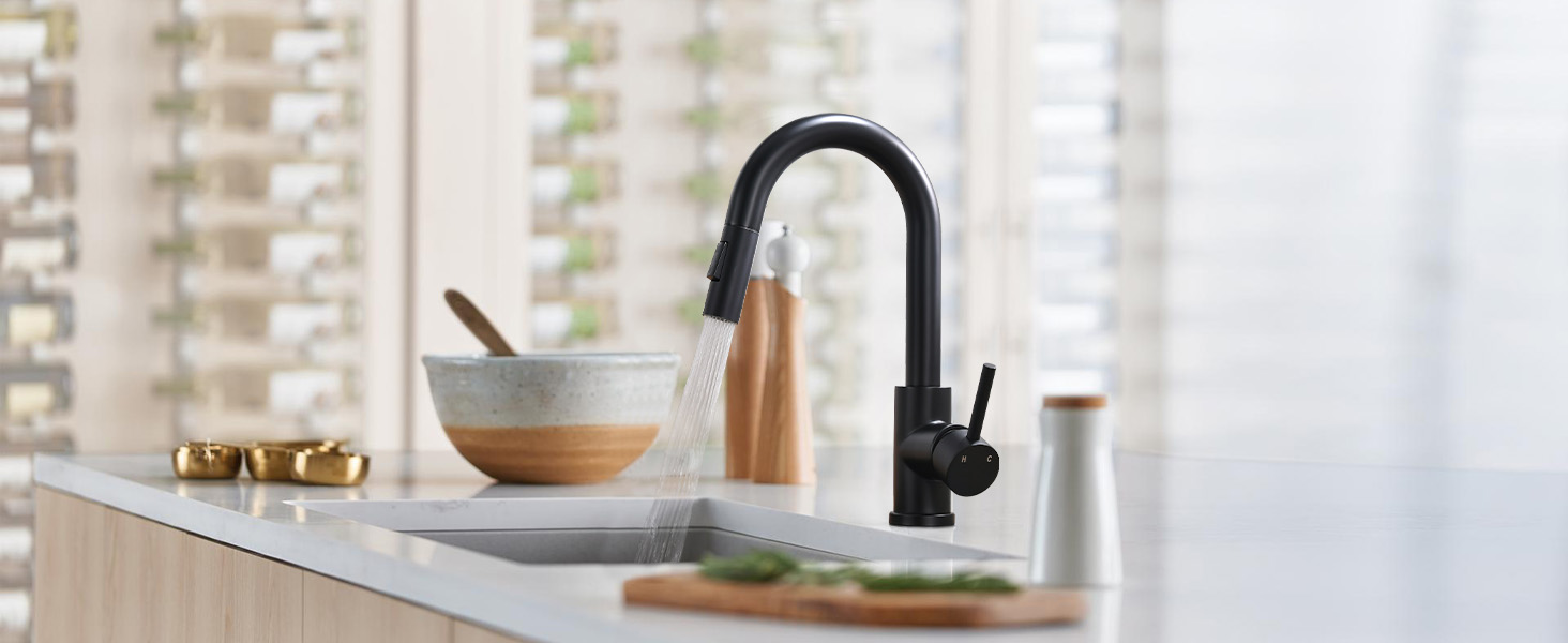 Kitchen Faucet