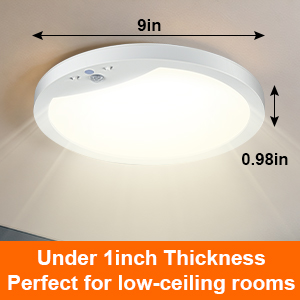 motion sensor ceiling lights