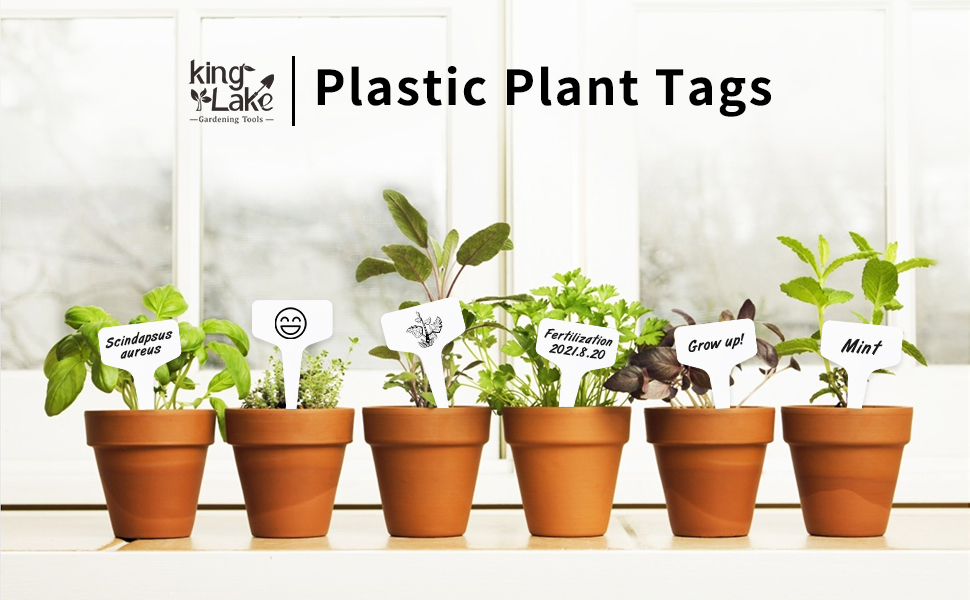 Plastic Plant T-Type Tags