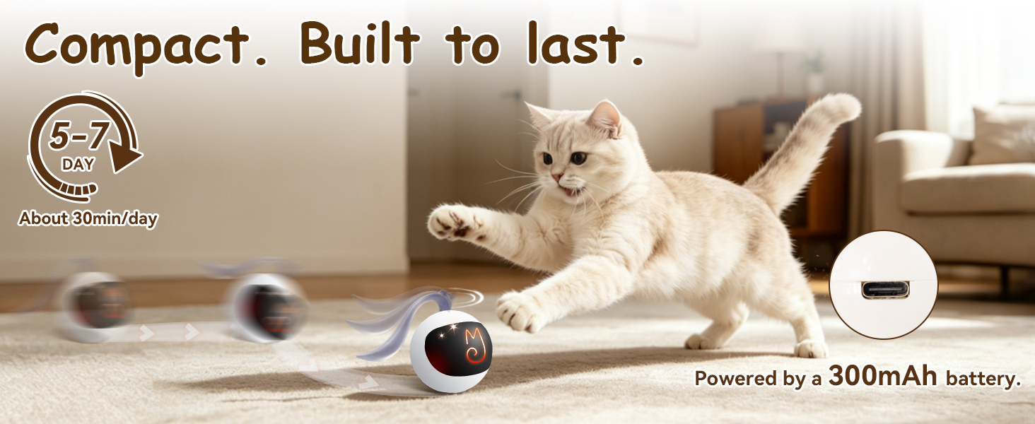 Cat toy ball