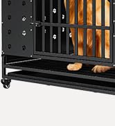 dog crate