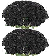 Rowfad 60 Pcs Artificial Roses Bulk Velvet Black Silk Roses for Ghothic Wedding Mohter's Day Vale...