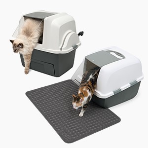 Litter Boxes