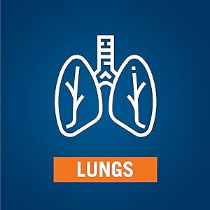Lungs