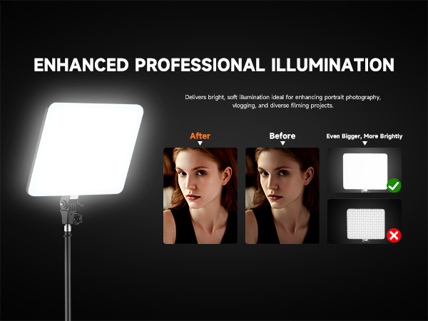 studio lights for photography