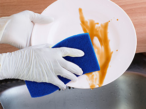 Dish Sponge