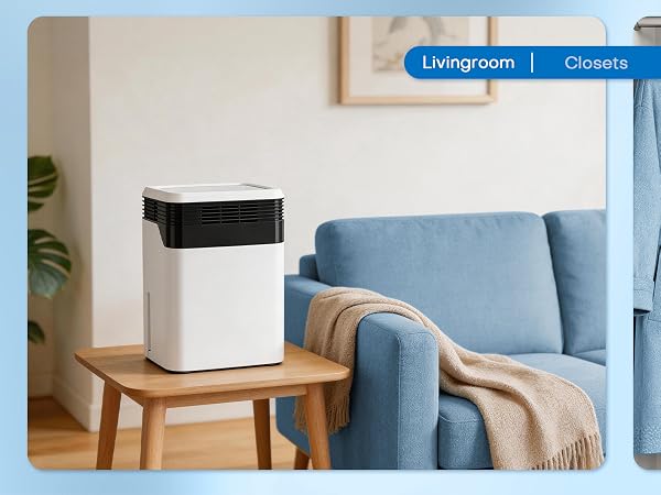 Dehumidifier