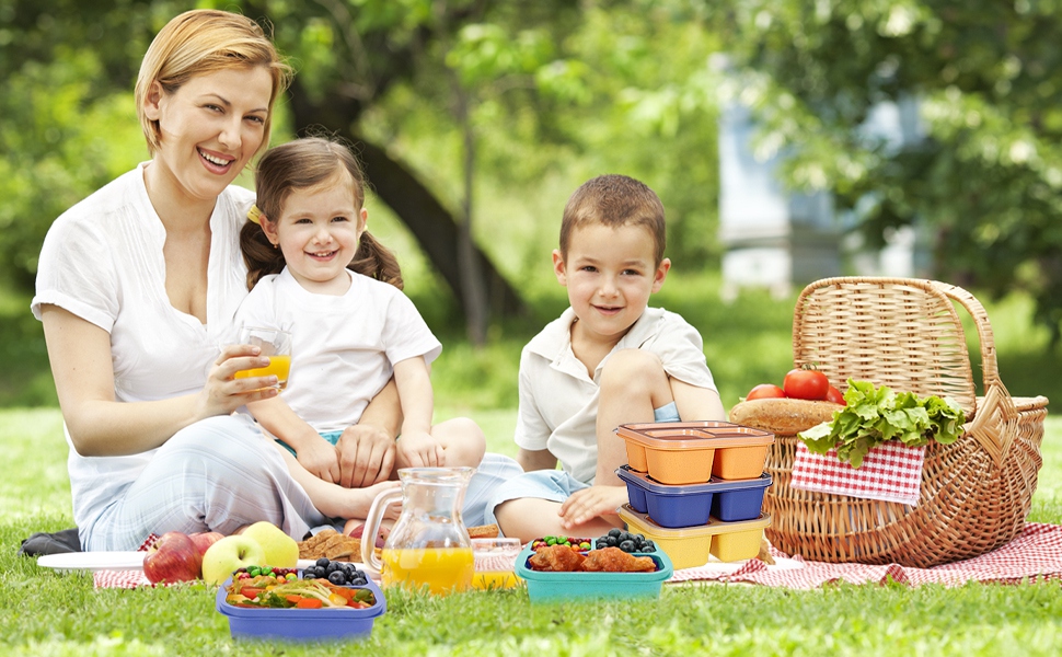 nack containers, lunch containers for adults, snackle box container