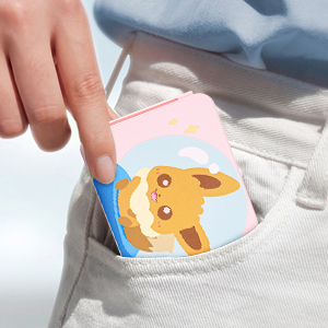 pokemon Eevee game card case switch
