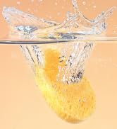 facial sponges