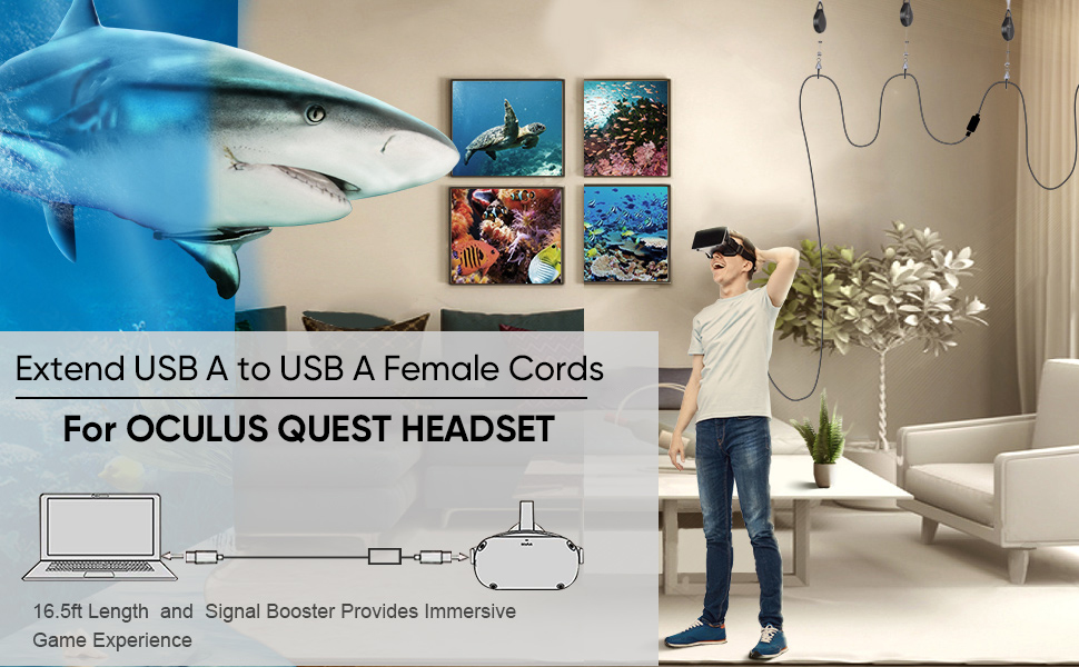 compatible with oculus