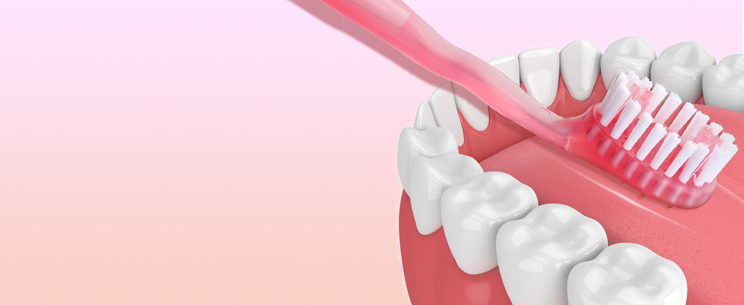 single use toothbrush with toothpaste
