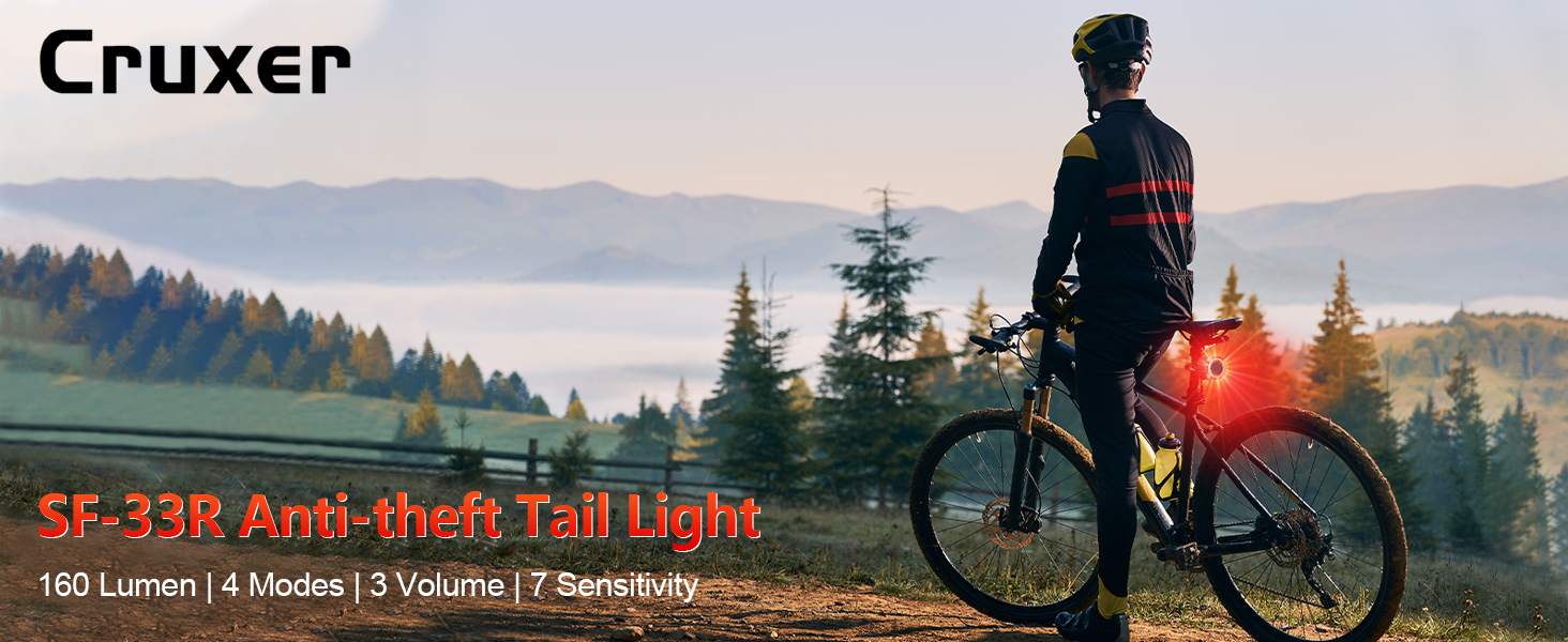 Bike Alarm with Bicycle Tail Light