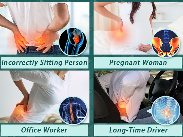 mesh lumbar support