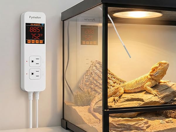 reptile thermostat