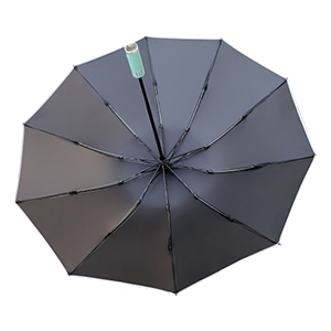 Umbrella Windproof