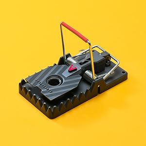 victor power-kill rat trap, most powerful rat trap, effective rat trap, snap trap