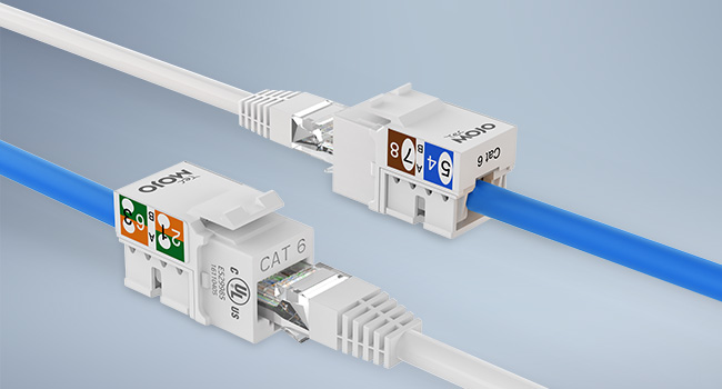 Cat6