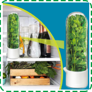 herbs storage containers for fridge