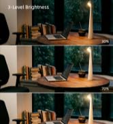 Cordless Table Lamp