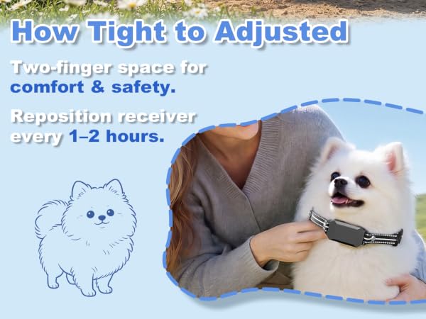 Small Shock Collar for Dogs