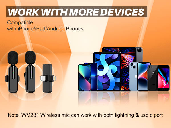 mic
