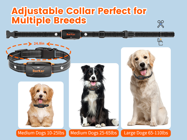 Dog Shock Collar