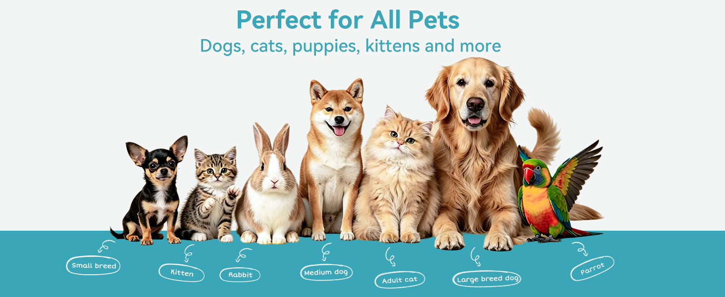 pet wet wipes