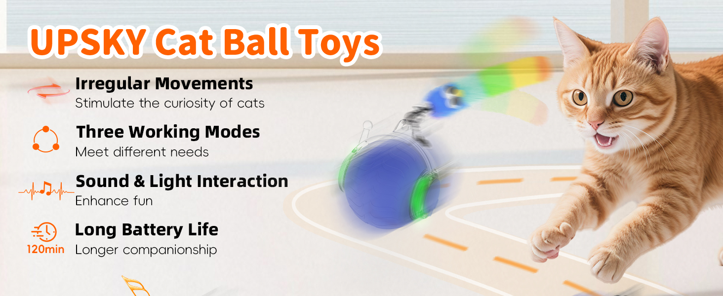 cat toy interactive ball